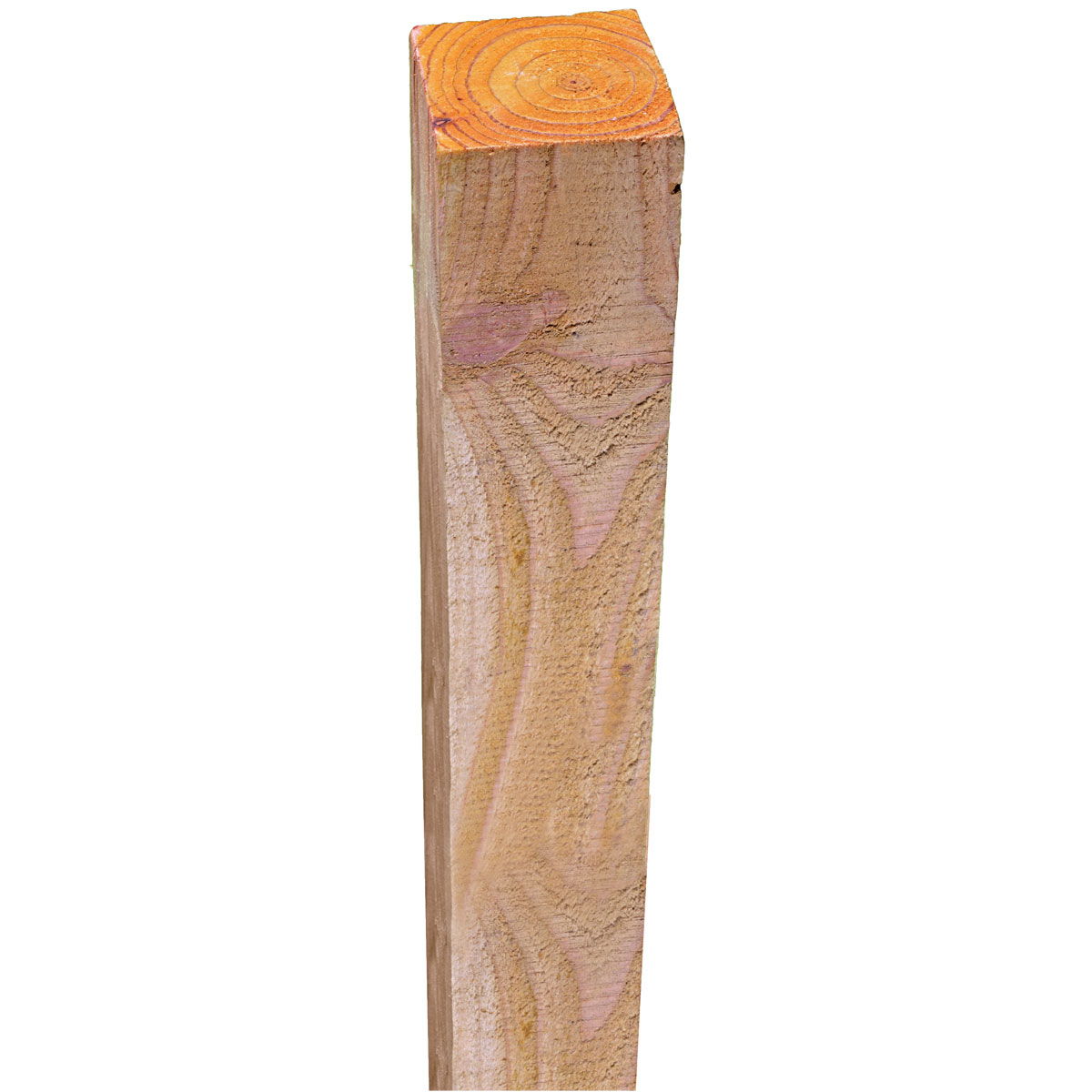 Pfosten Juetland 9 x 9 x 210 cm sägerau