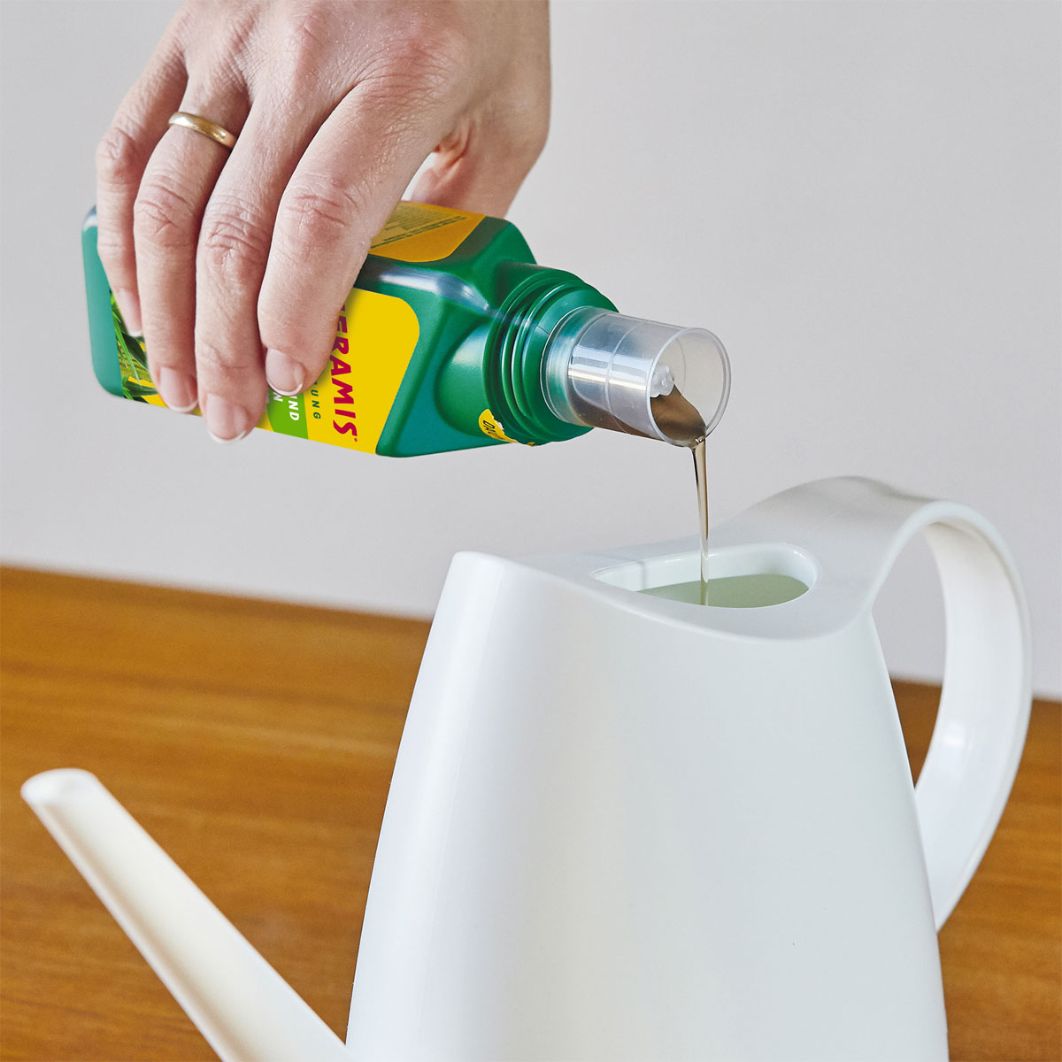 Seramis Vitalnahrung für Kakteen und Sukkulenten 200 ml Bild 3