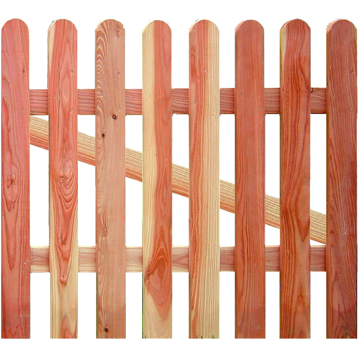 TETZNER & JENTZSCH Vorgartentür „ANHOLT“, Lärche, 100x80 cm, Latten 18/88 mm, Riegel 24/68 mm