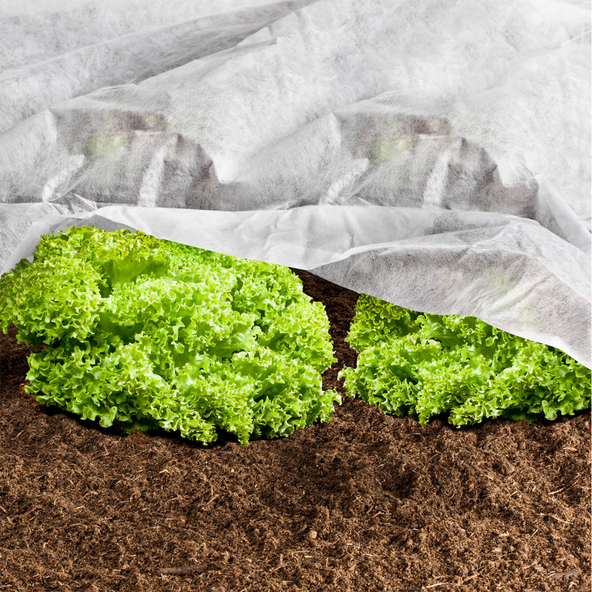 Windhager  Wachstumsvlies 18 g/m² 5x1,5 m Bild 3