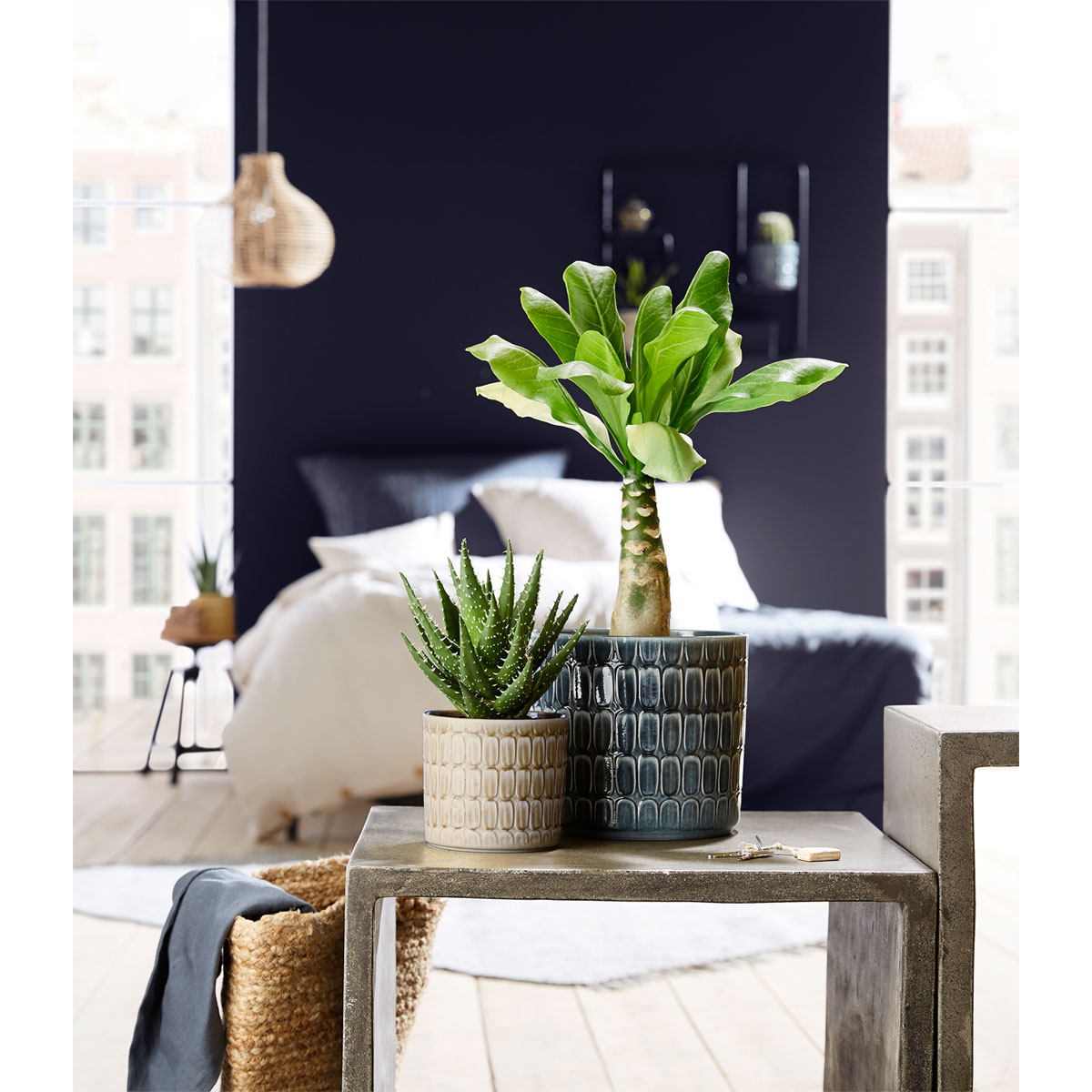 Scheurich Übertopf Alma Durchmesser 12 cm grau Bild 2