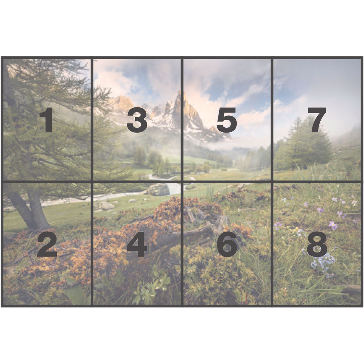 Komar  Papier Fototapete Morning Walk 368x254 cm Bild 3