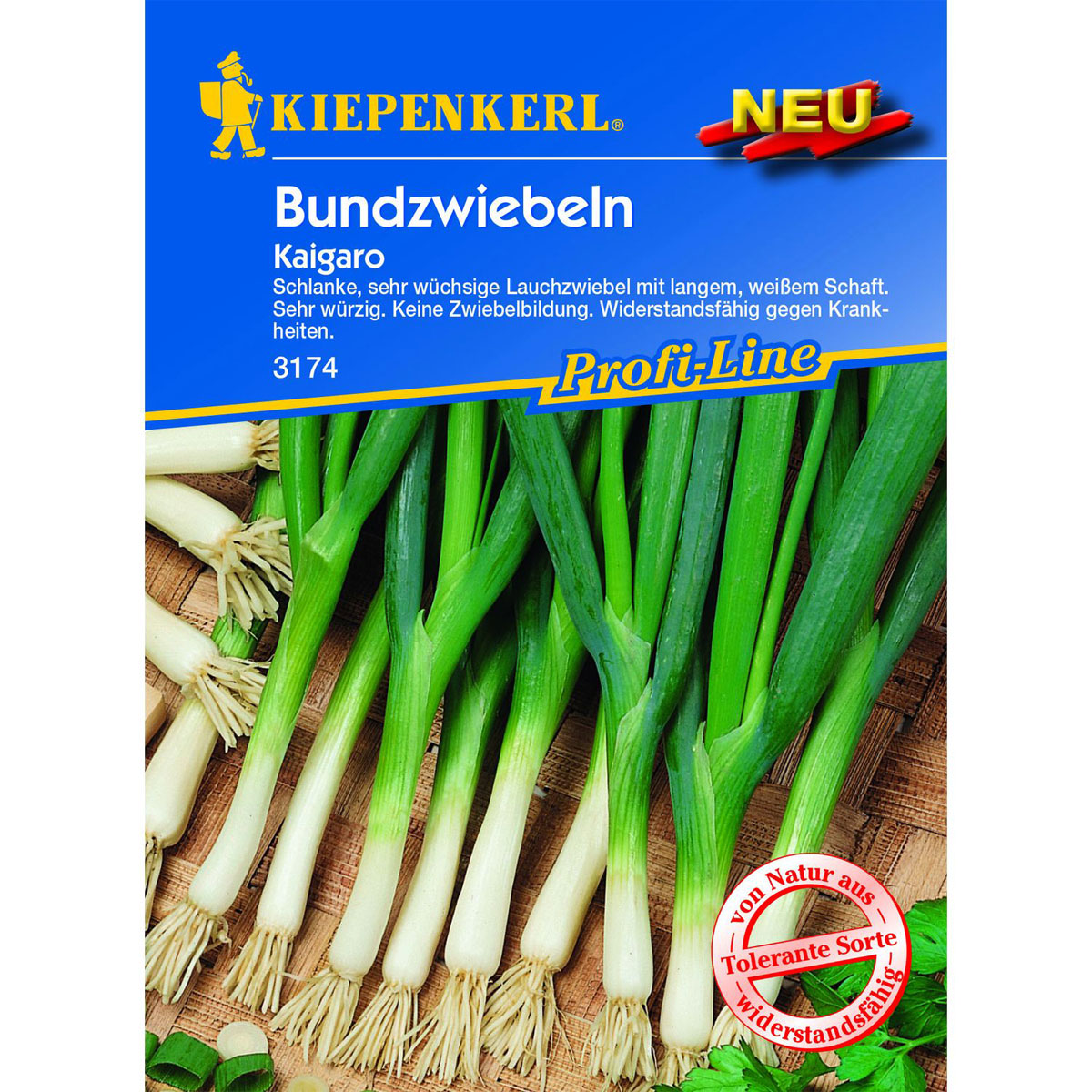 Kiepenkerl Lauchzwiebel Kaigaro