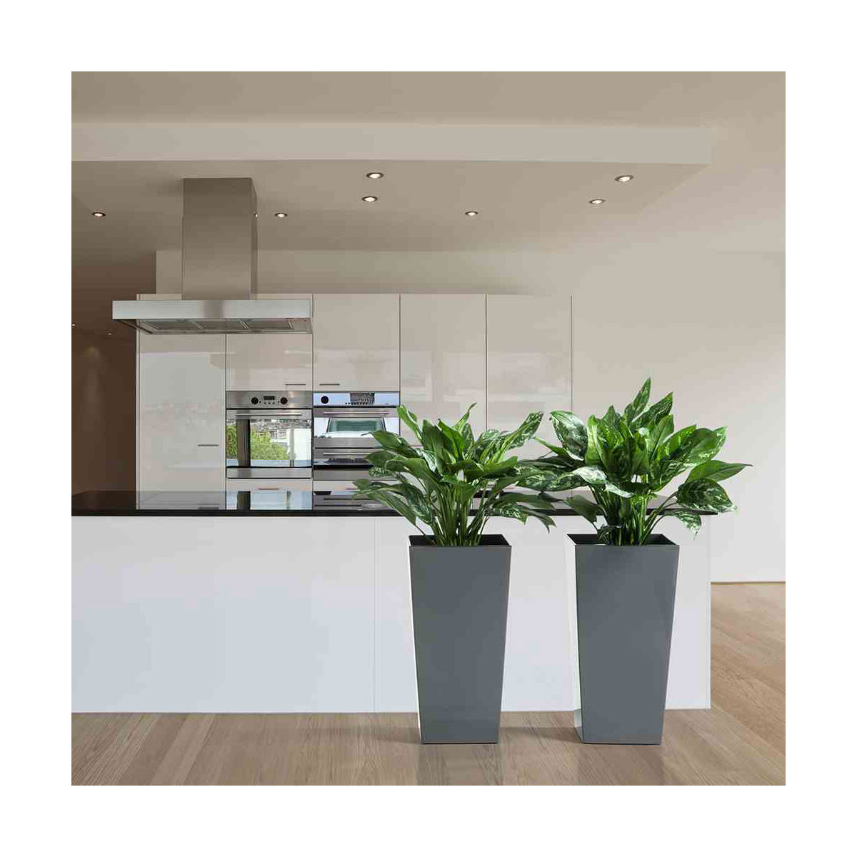 Siena Garden Pflanzgefäß Lyon 25 x 25 x 46,5 cm anthrazit Bild 5