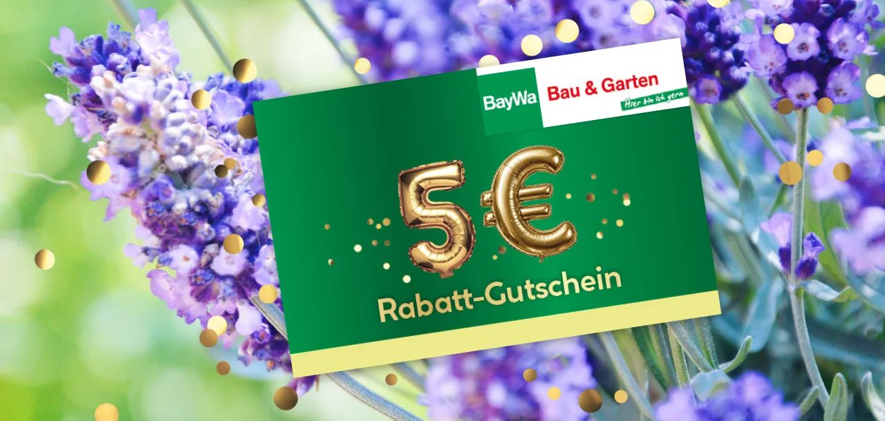 5 Euro Rabatt-Gutschein