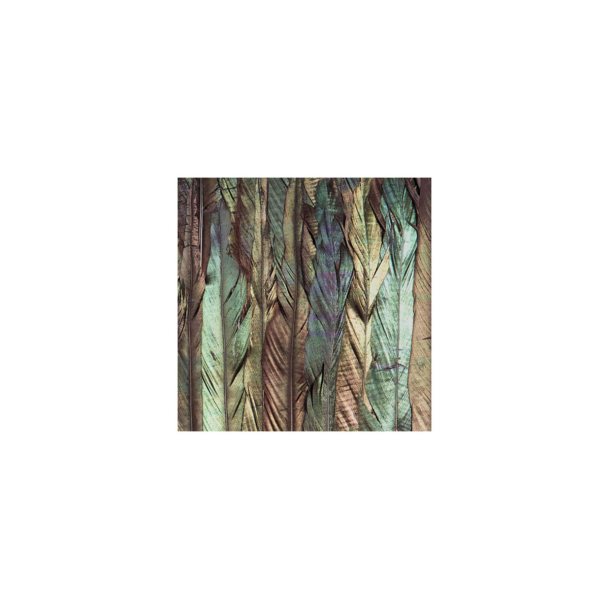 Komar  Vlies Fototapete Dark Wings 200x250 cm Bild 7