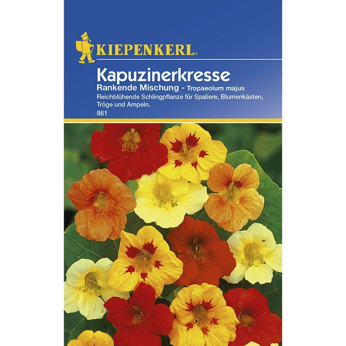 Kiepenkerl Kapuzinerkresse rankende Mischung