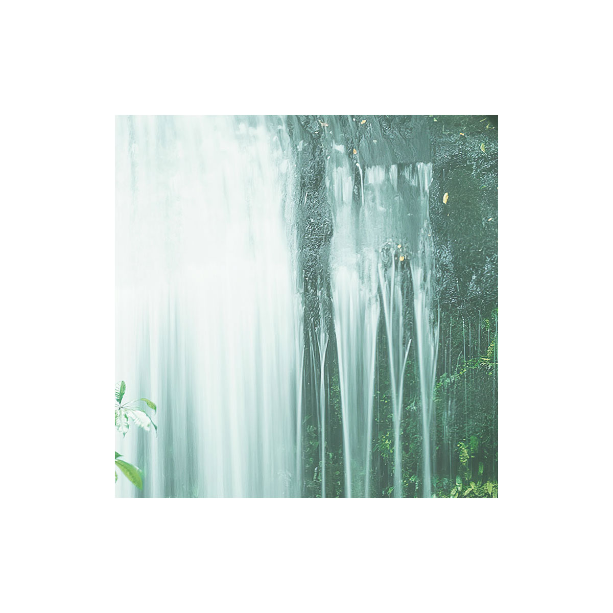 Komar  Vlies Fototapete Secret Veil 450x280 cm Bild 4