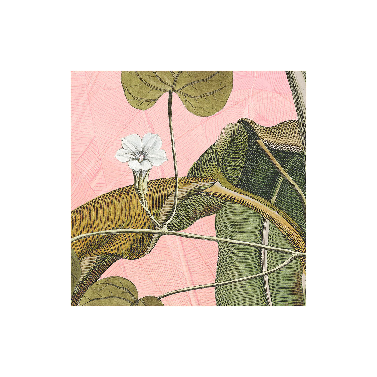 Komar  Selbstklebende Vlies Fototapete rund Botany Durchmesser 125 cm Bild 4