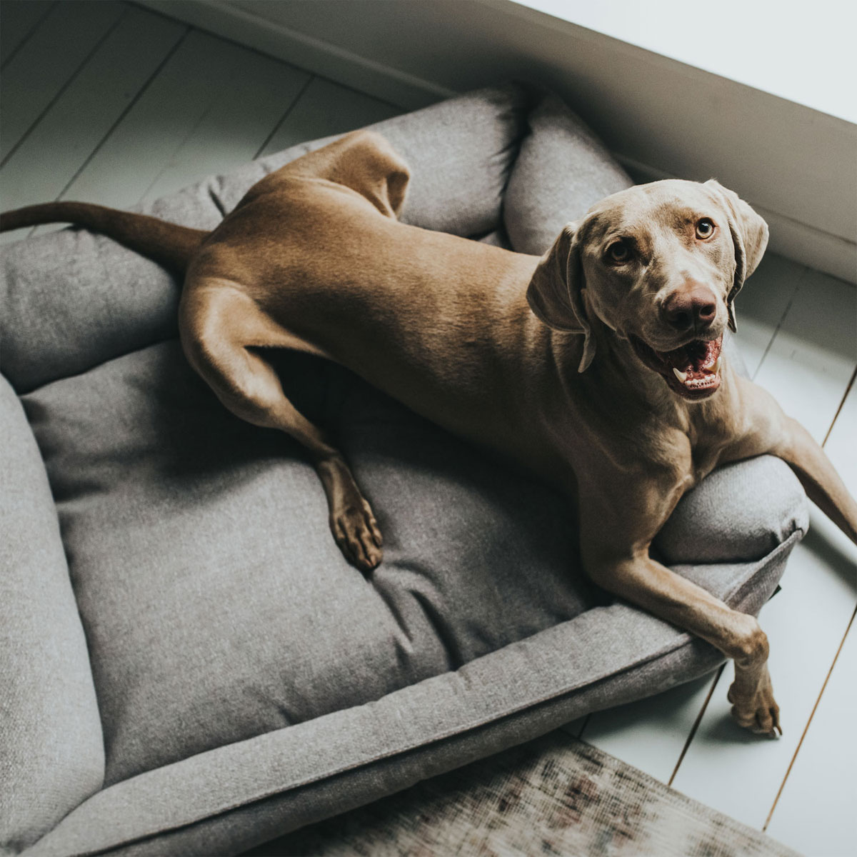 Hunter Hundesofa Prag grau 90 x 70 cm Bild 5