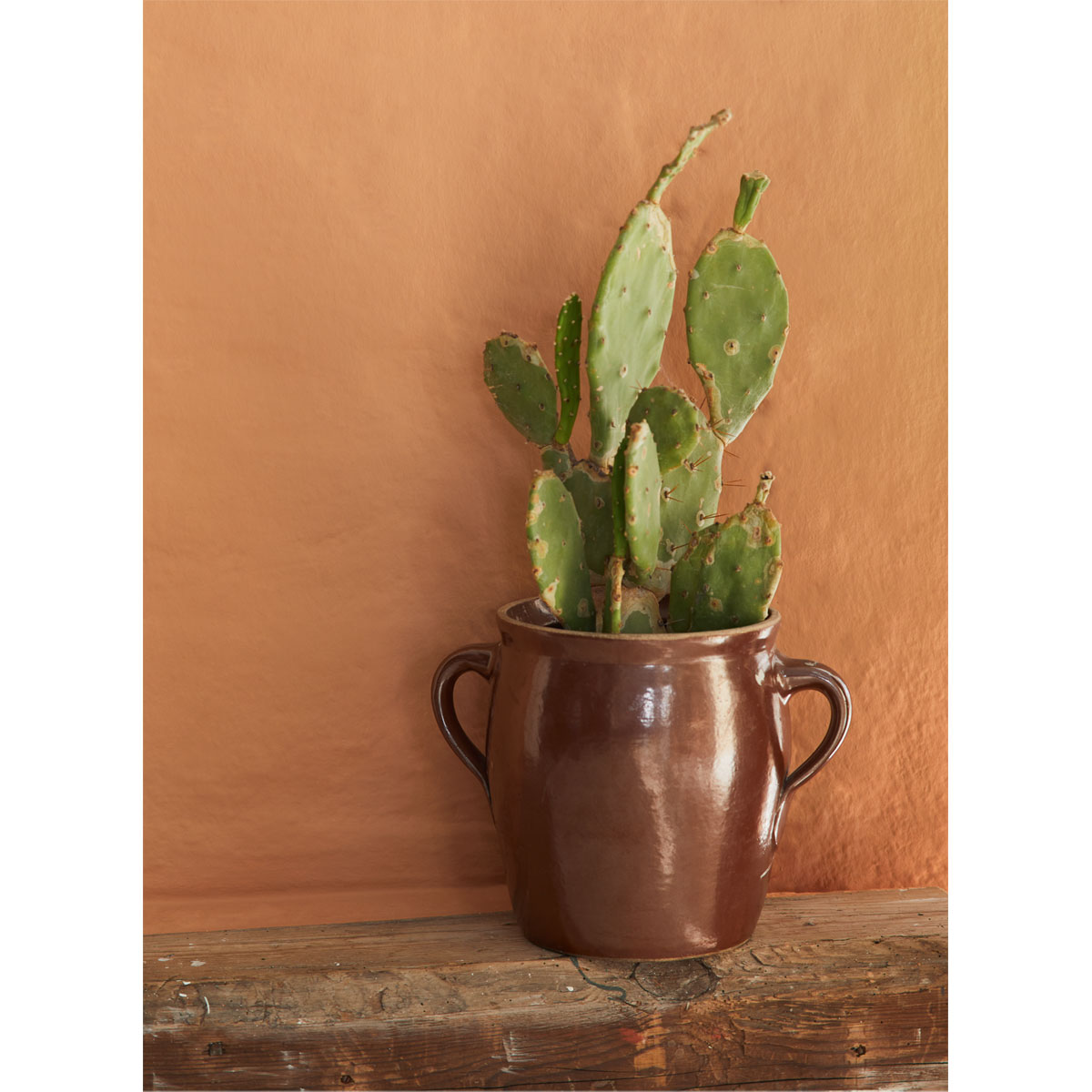 Alpina Feine Farben Baukunst der Sonne 2,5 L Bild 3