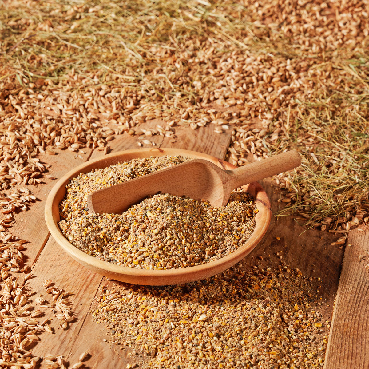 Freiland Legemehl 7 kg Bild 2