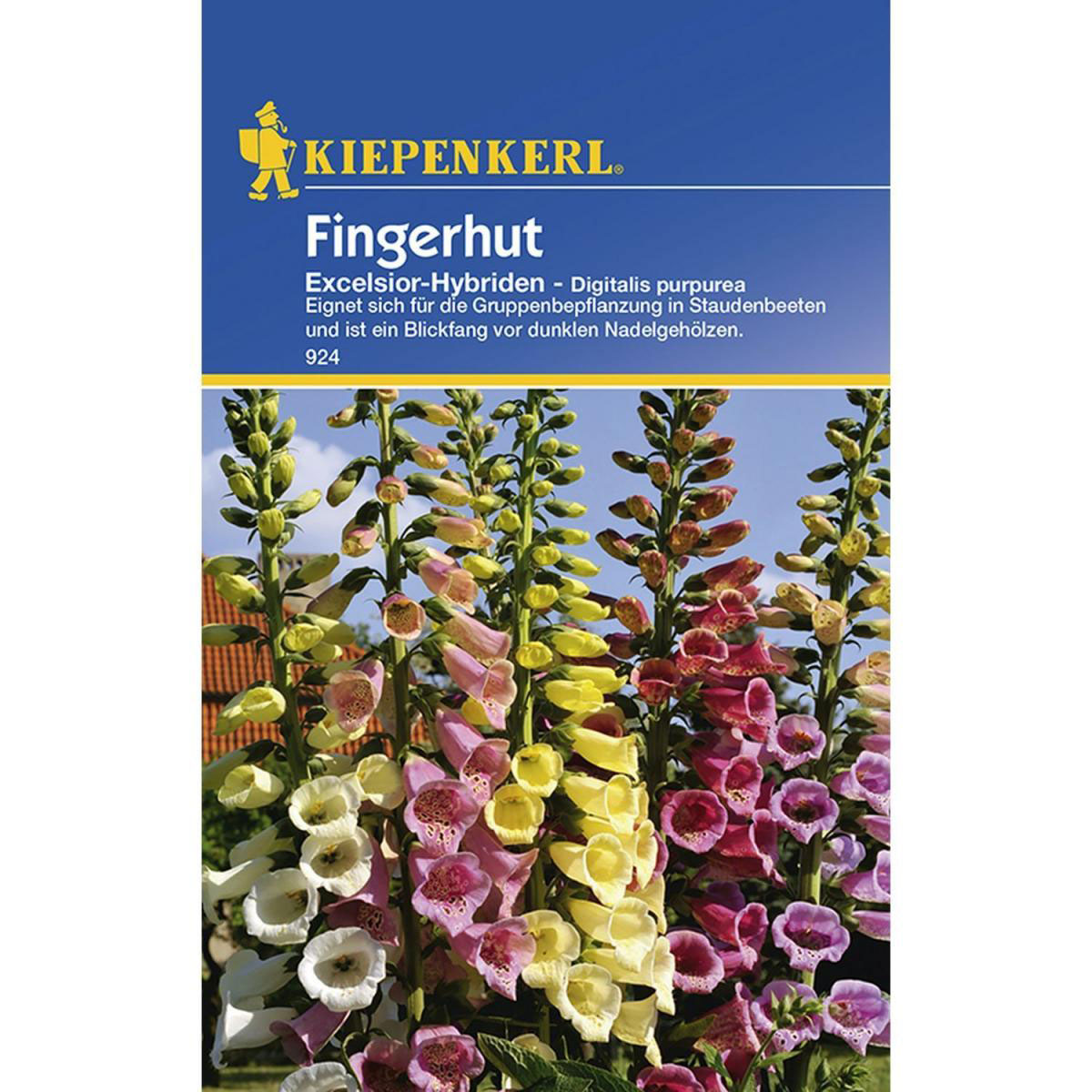 Kiepenkerl Fingerhut Excelsior-Hybriden