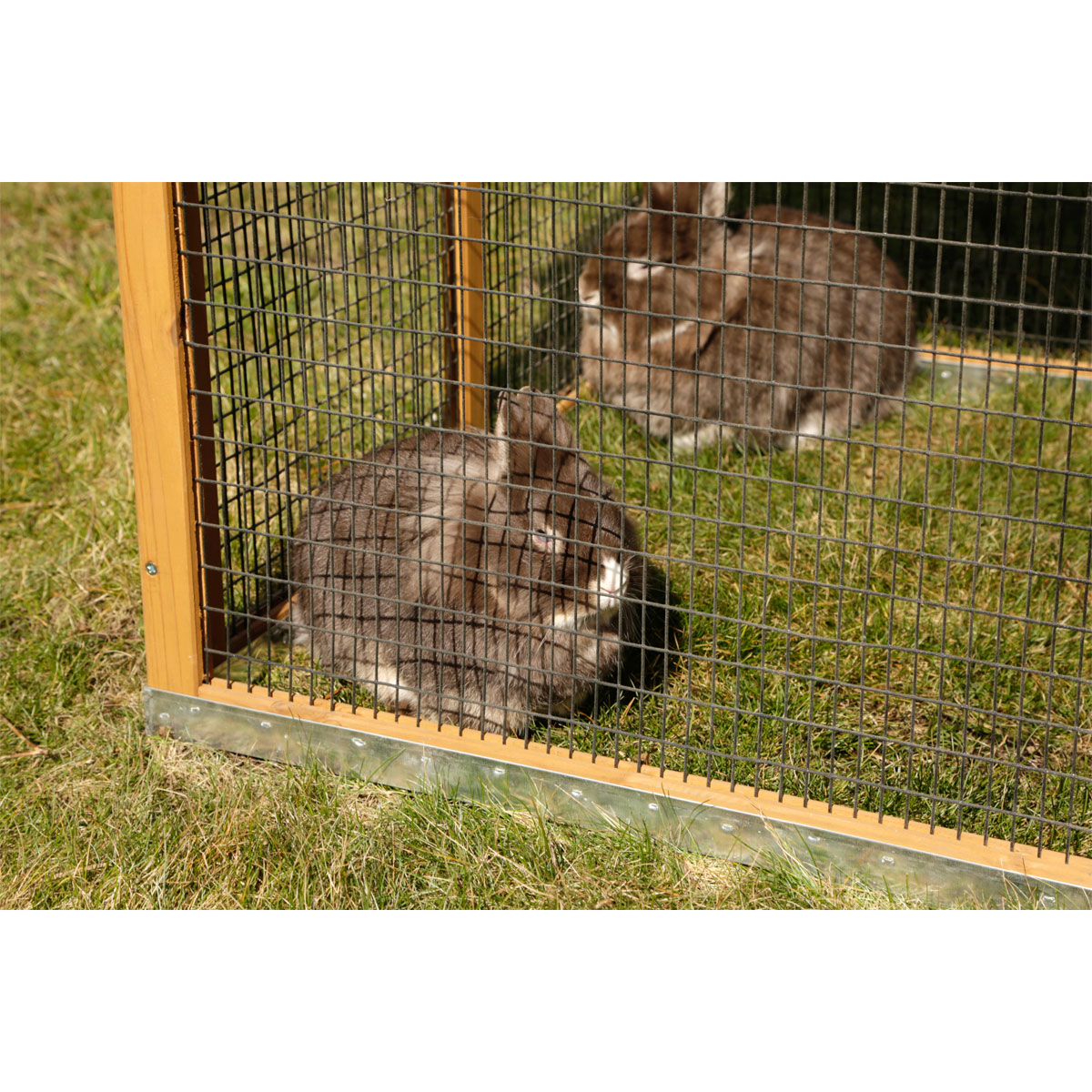 Freigehege Appartment Pro 115 x 90 x 85 cm braun Bild 3