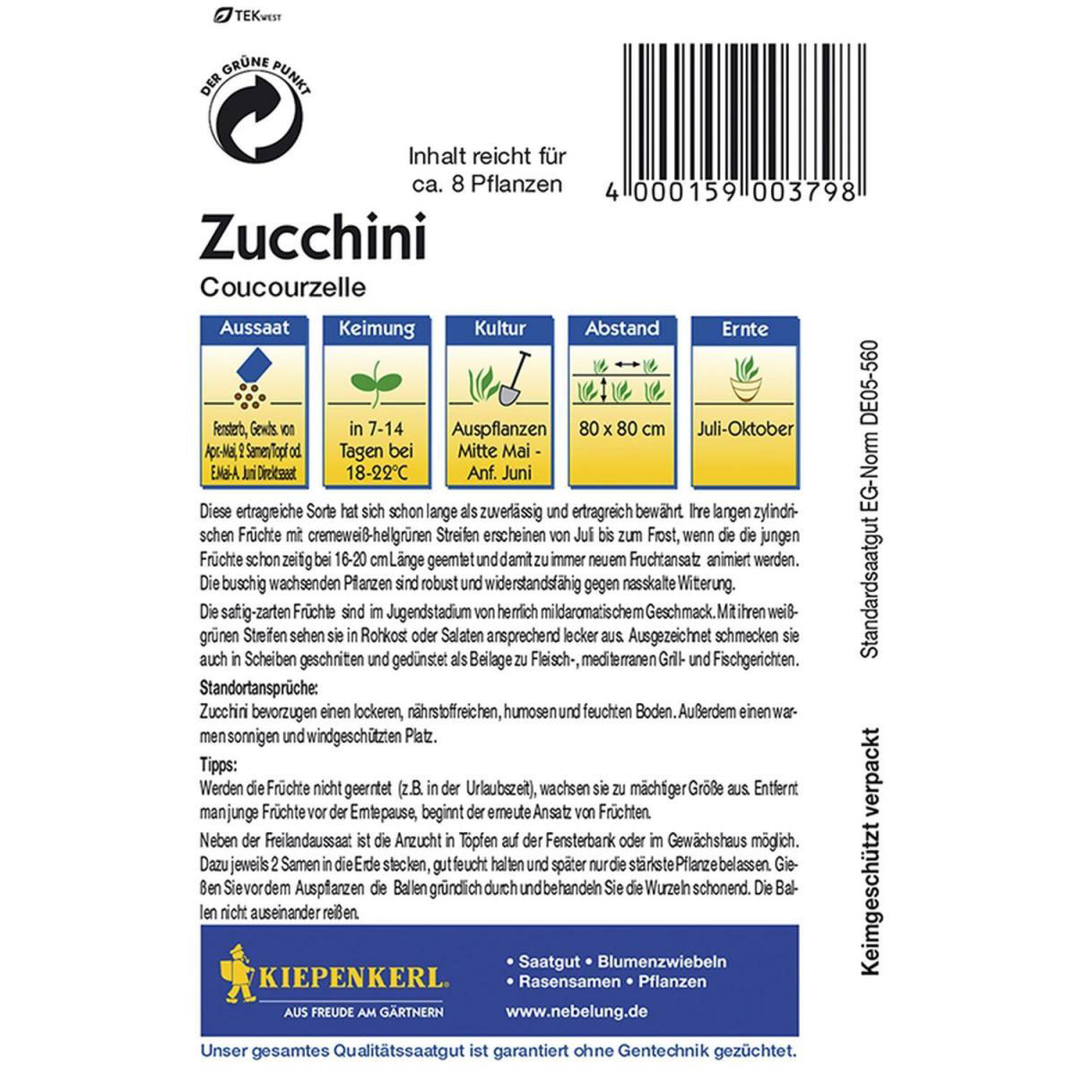 Kiepenkerl Zucchini Coucourzelle Bild 2