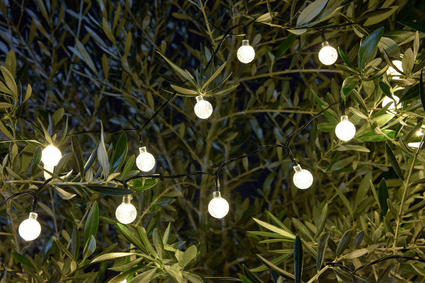 Solarlichterkette Bubbles zwischen Grünpflanzen 