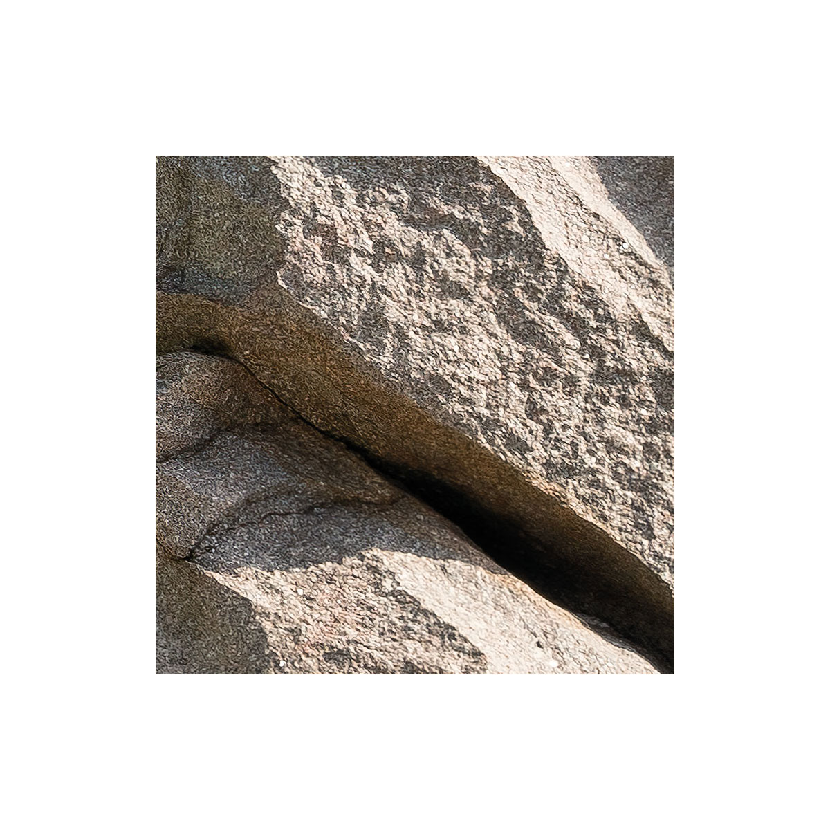 Komar  Vlies Fototapete Tagträume 450x280 cm Bild 7