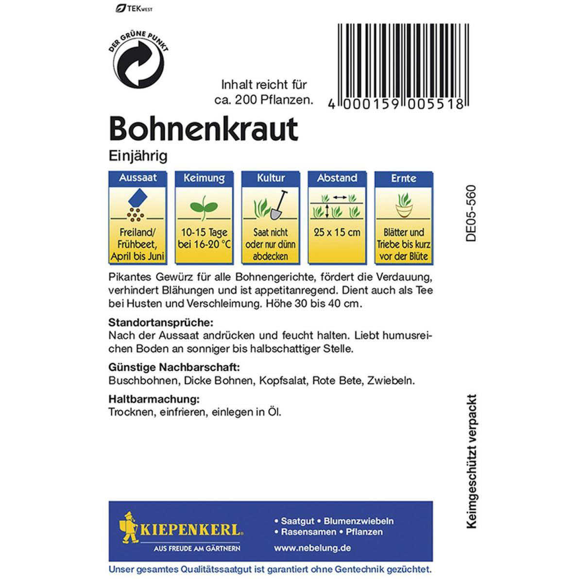 Kiepenkerl Bohnenkraut einjährig Bild 2