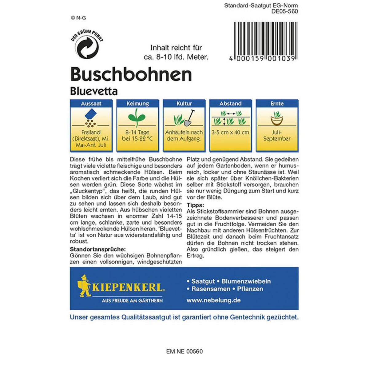 Kiepenkerl Buschbohnen Bluevetta Bild 2