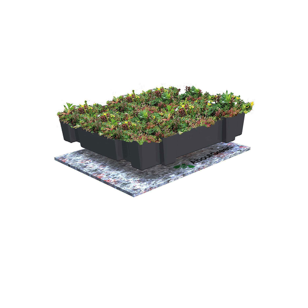 AboutGreen Gründachsystem Click und Go bis 15 Dachneigung 45 x 49,5 cm Bild 2