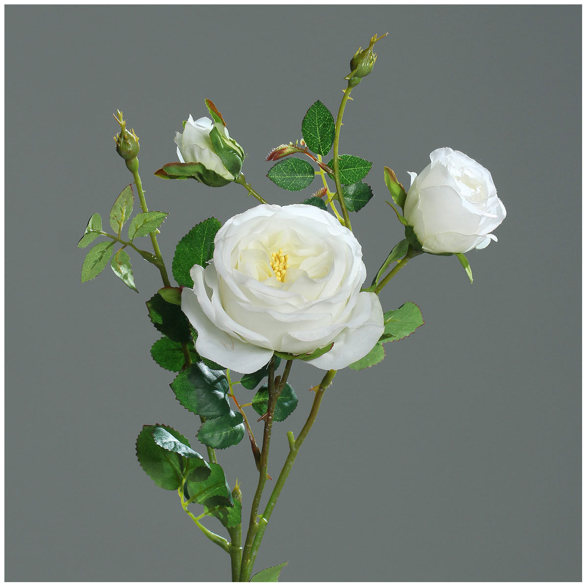 Rose mit Knospen 60 cm cream