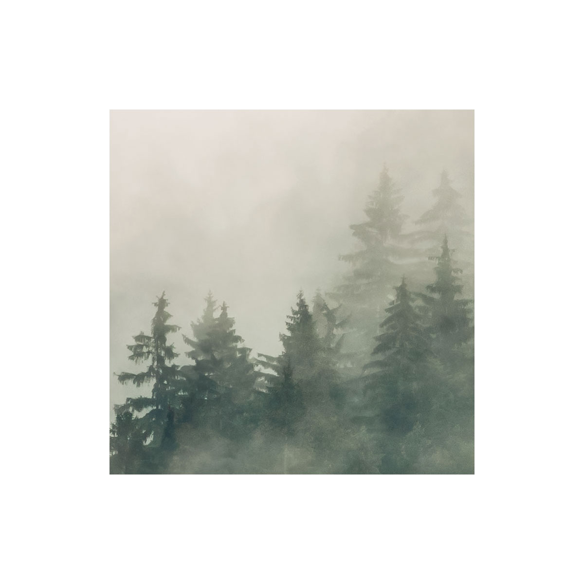 Komar  Vlies Fototapete Tales of the Carpathians 300x200 cm Bild 5