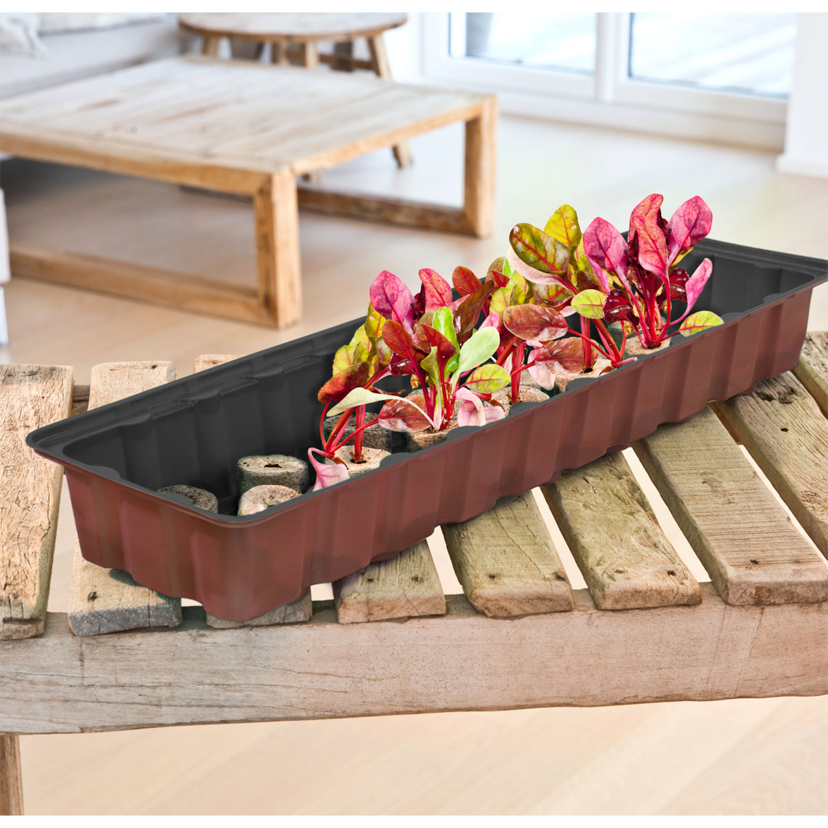 Windhager  Treibhaus-Fensterbank 54x16x11 cm