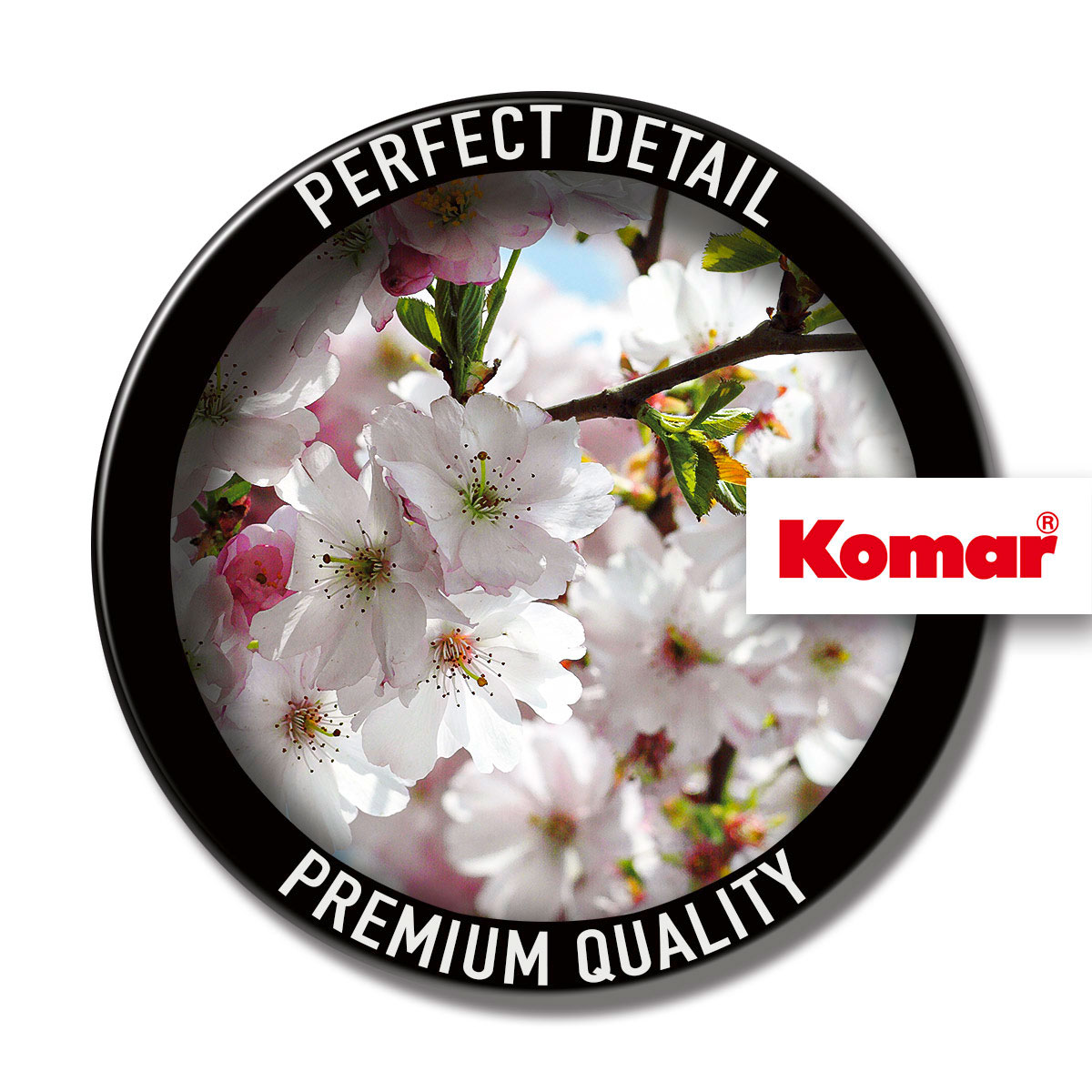 Komar  Vlies Fototapete Spring 300x250 cm Bild 4