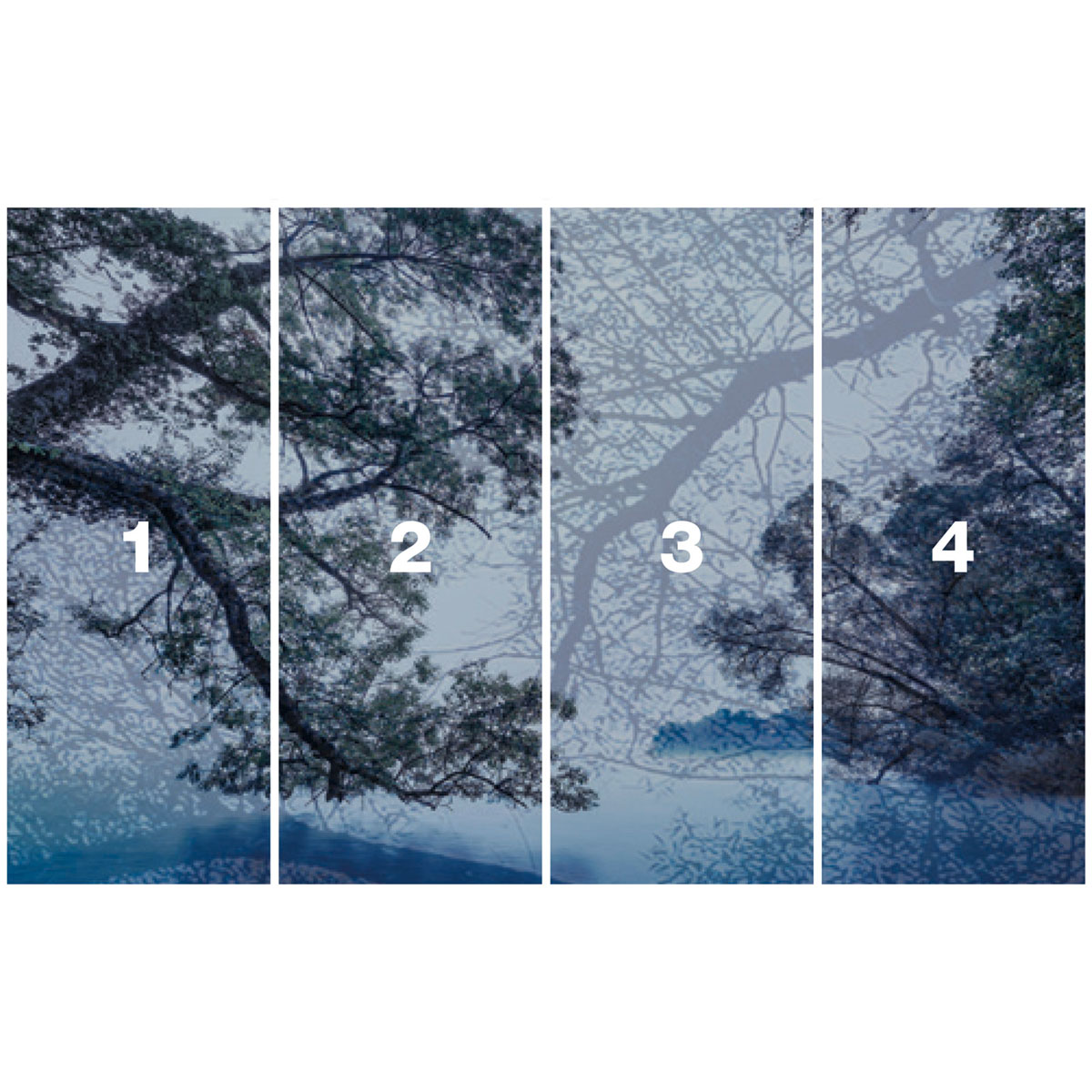 Komar  Vlies Fototapete Blue Waters 400x250 cm Bild 3