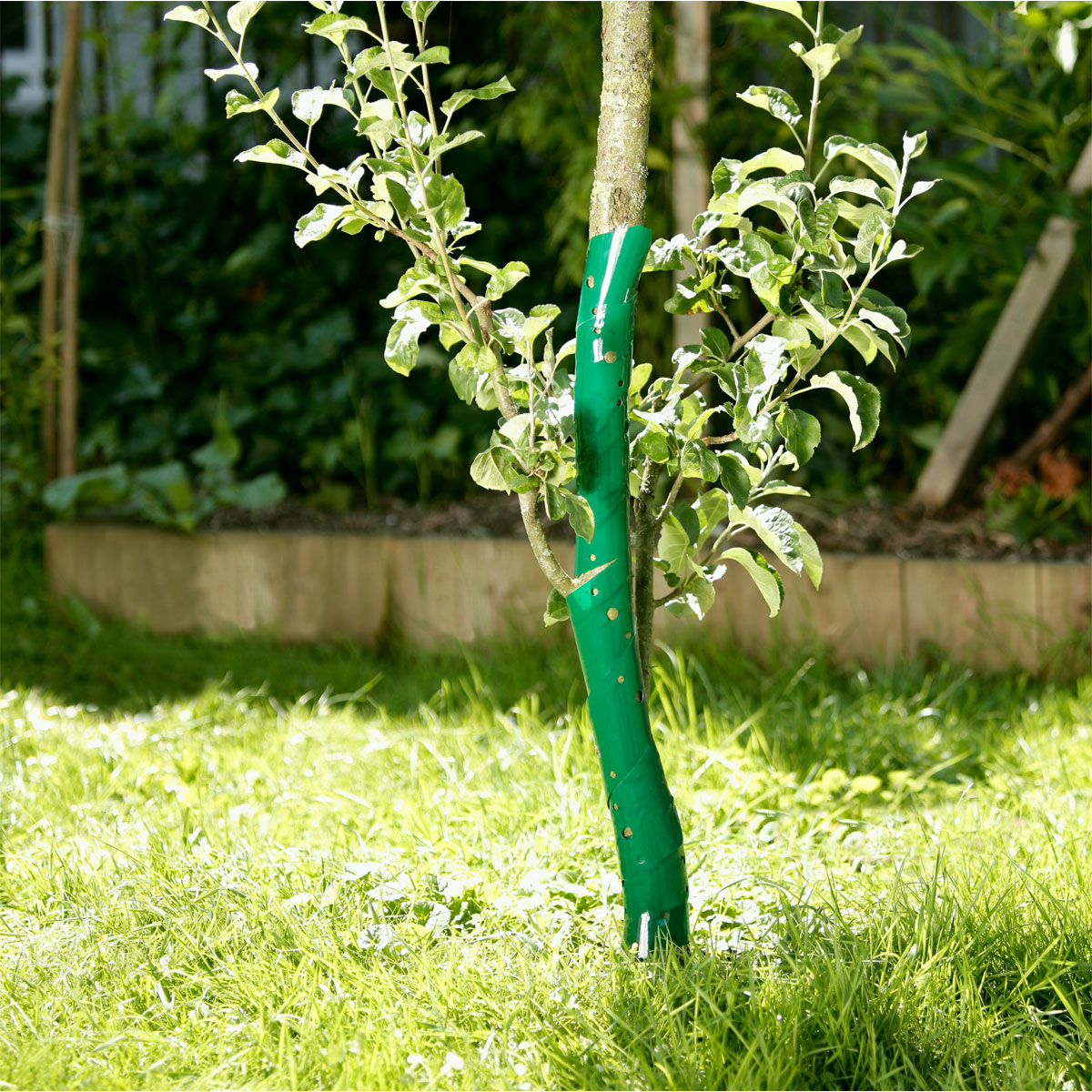 Windhager  Baumschutzspiralen 60 cm 2 Stück Bild 2