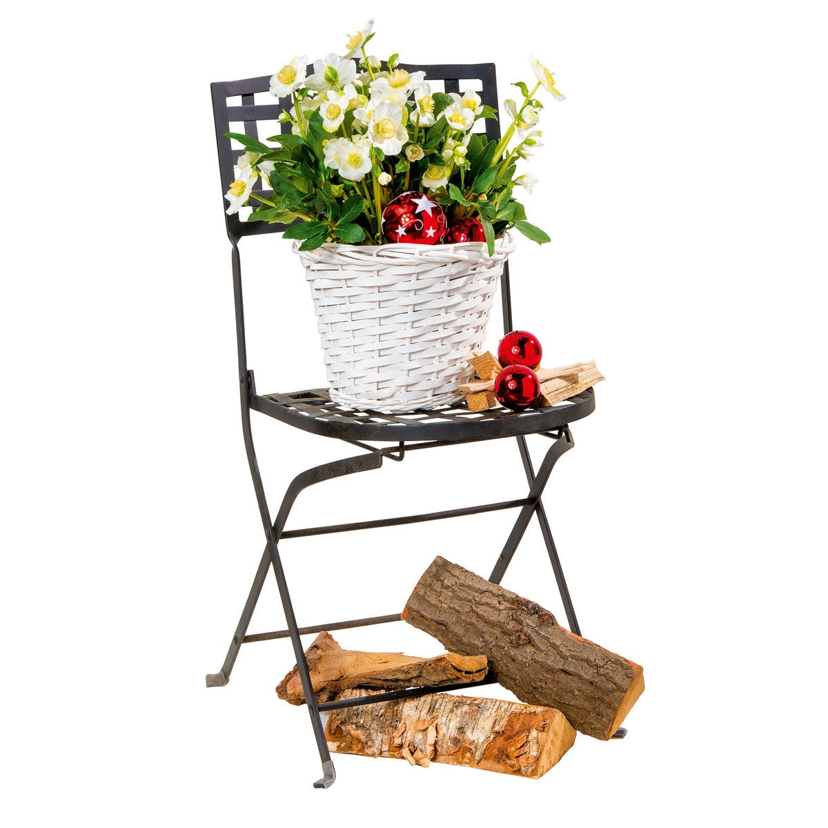 Plantiflor  Christrose Christmas Carol Top Durchmesser 12 cm Bild 6