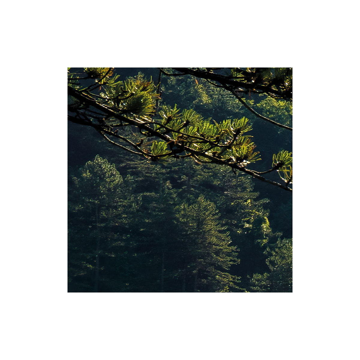 Komar  Vlies Fototapete Elbenpforte 450x280 cm Bild 4