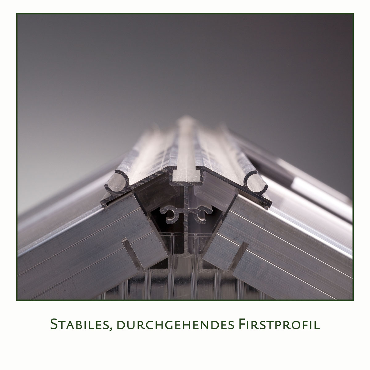 KGT Gewächshaus Lilie IV 12,75m² silber Bild 3