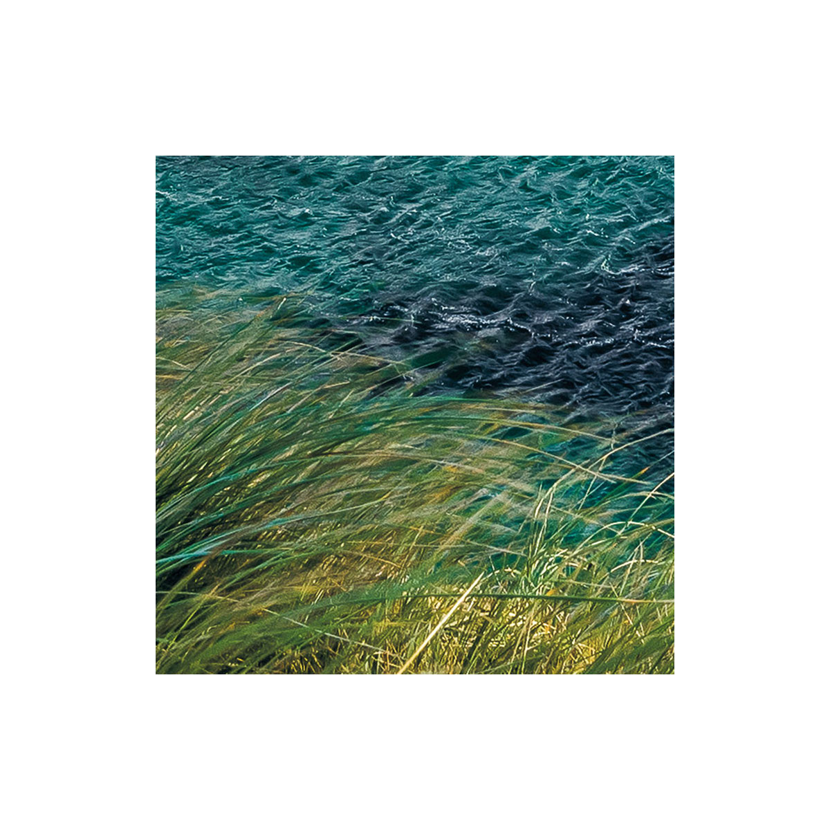 Komar  Vlies Fototapete Breath Taking 400x250 cm Bild 8