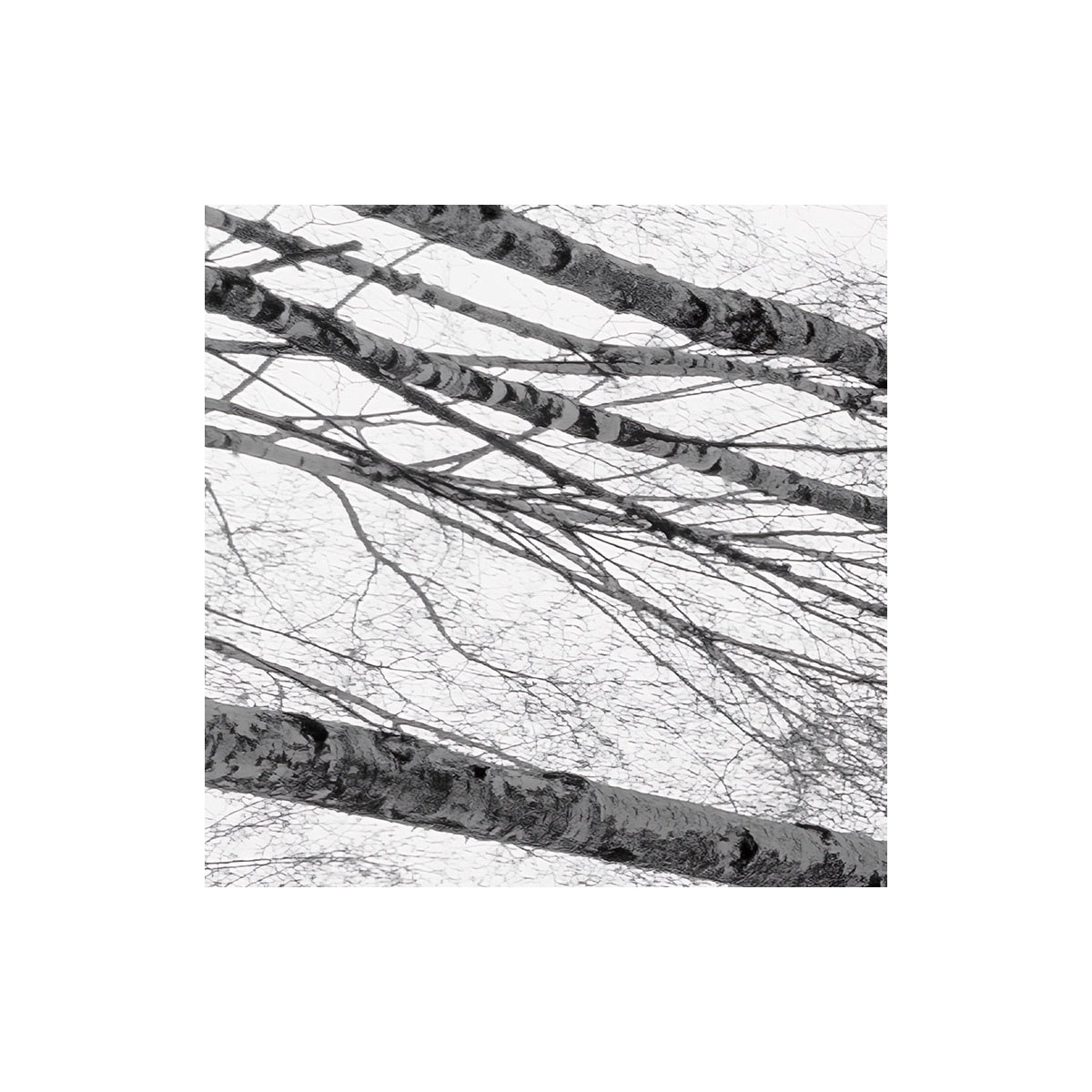 Komar  Vlies Fototapete Weiss-Blau 450x280 cm Bild 5