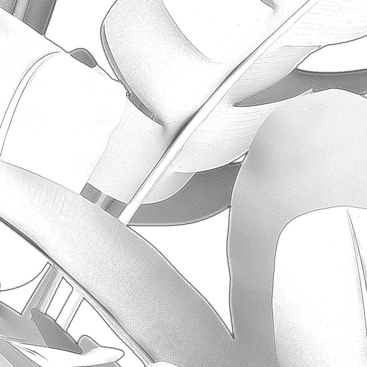 Komar  Vlies Fototapete Musa 400x280 cm Bild 6