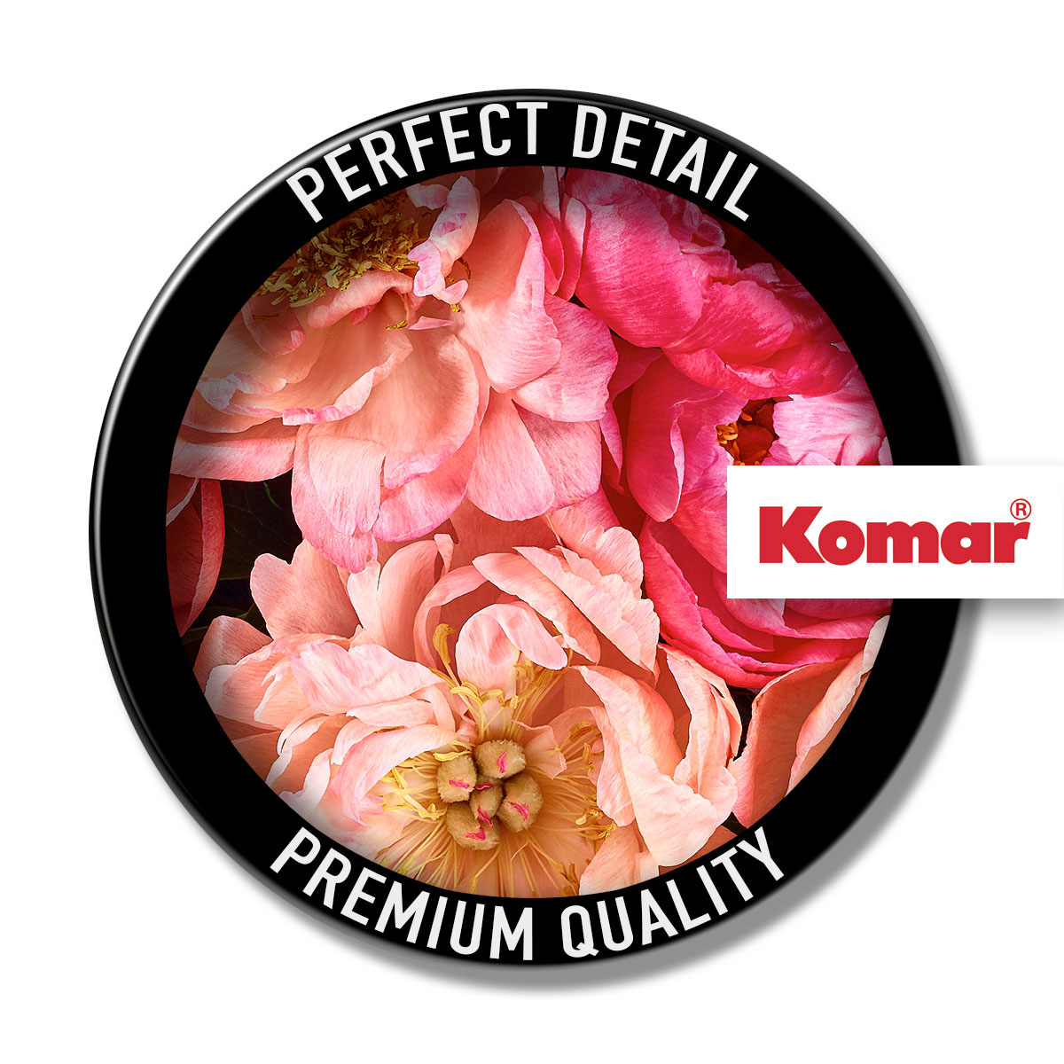 Komar  Selbstklebende Vlies Fototapete rund Roseraie Durchmesser 125 cm Bild 3