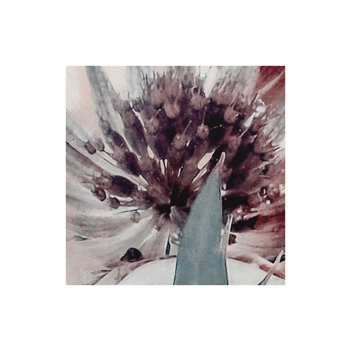 Komar  Vlies Fototapete Blossom Clouds 250x250 cm Bild 6