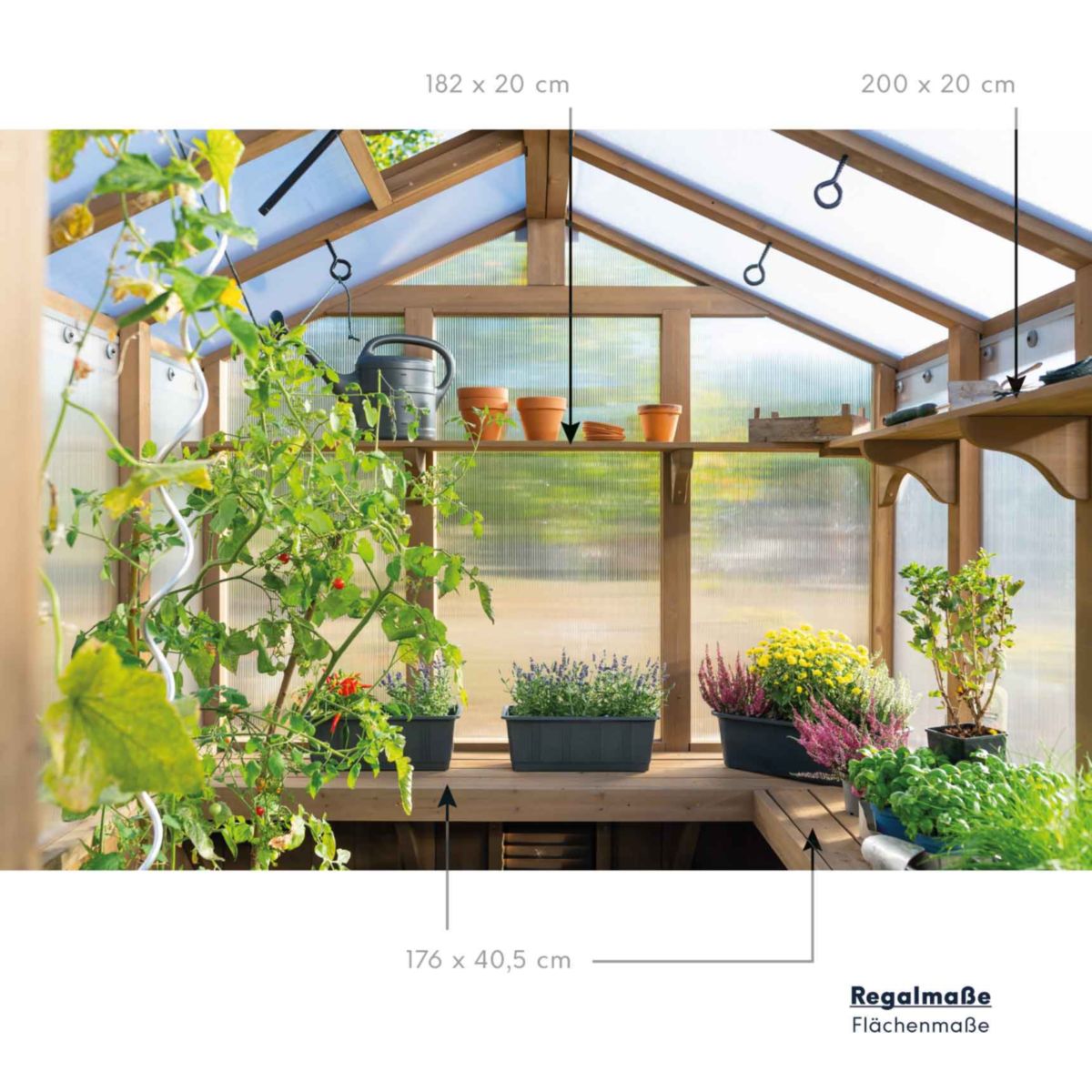 Westmann Gewächshaus Paul 238x204x236cm Bild 9