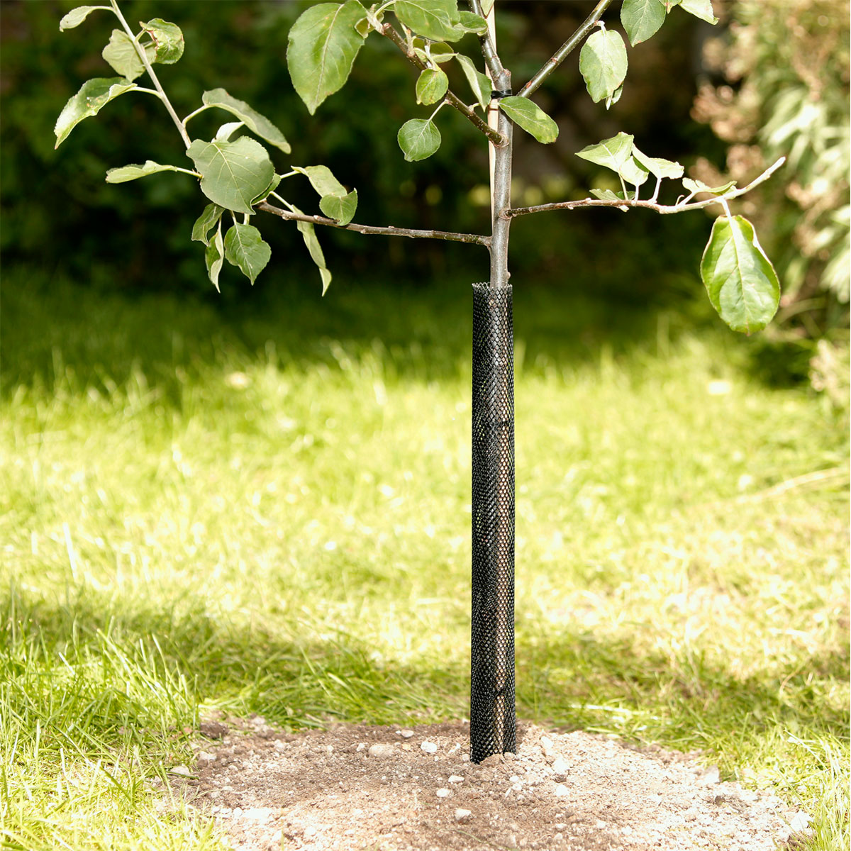 Windhager  Baumschutz-Gitter 55 cm 2 Stück Bild 3