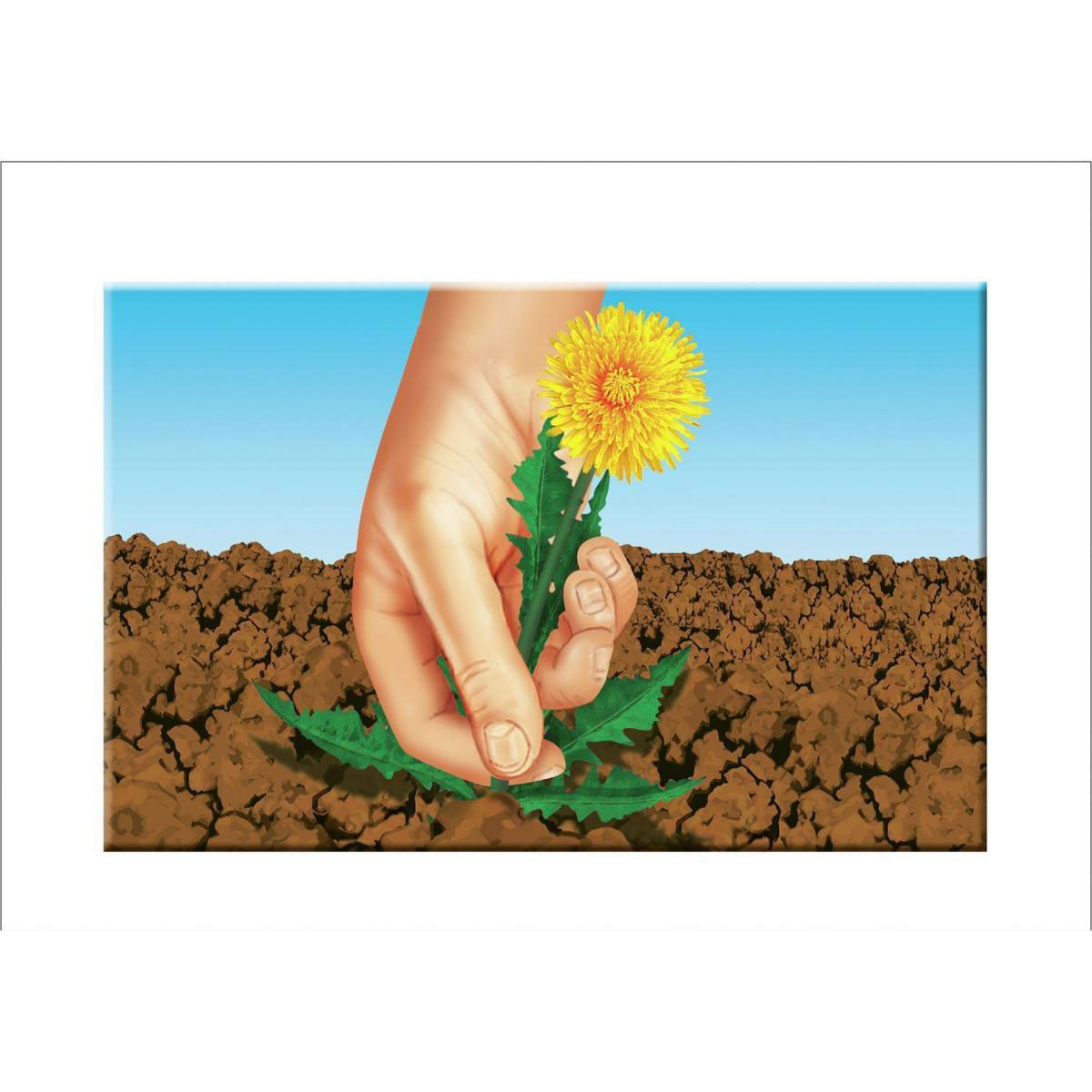 Compo Rasensaat Spiel und Sport Aktion 4 kg Bild 3