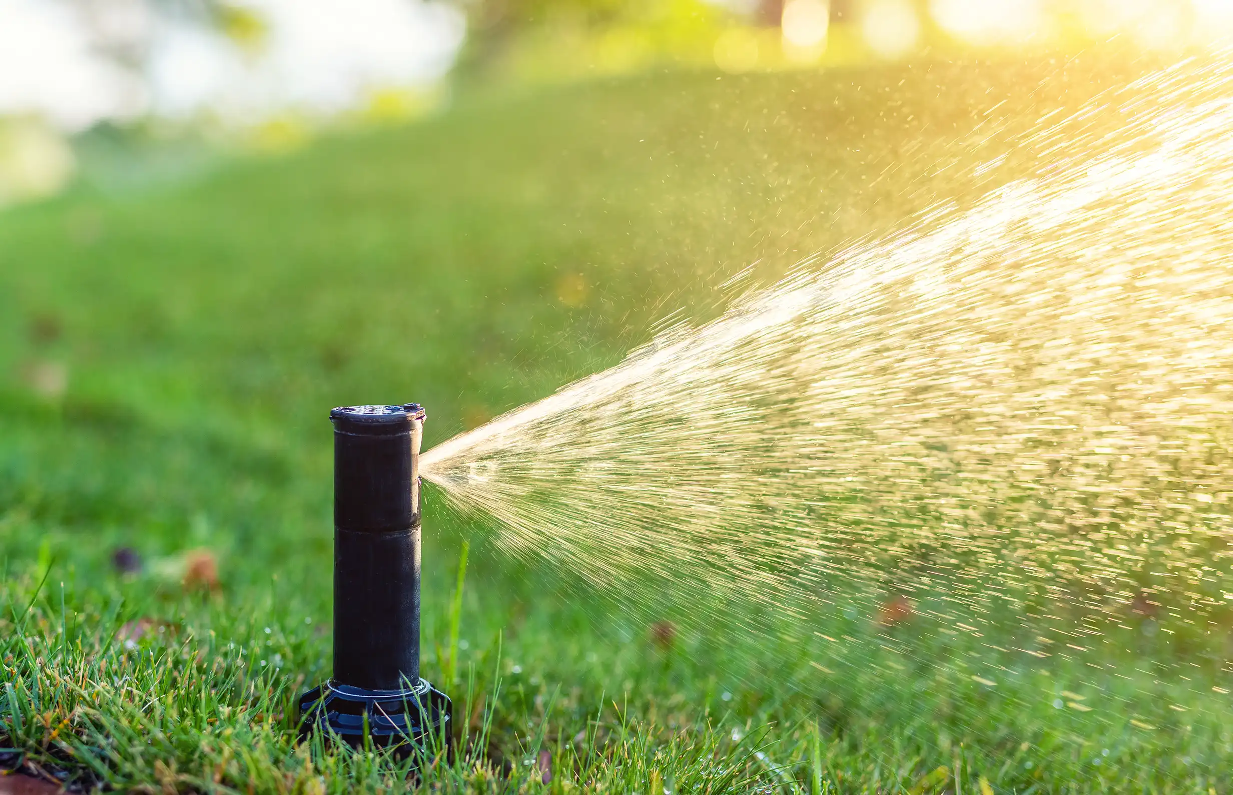 Ein Rasensprinkler sprüht Wasser über grünes Gras bei Sonneneinstrahlung.