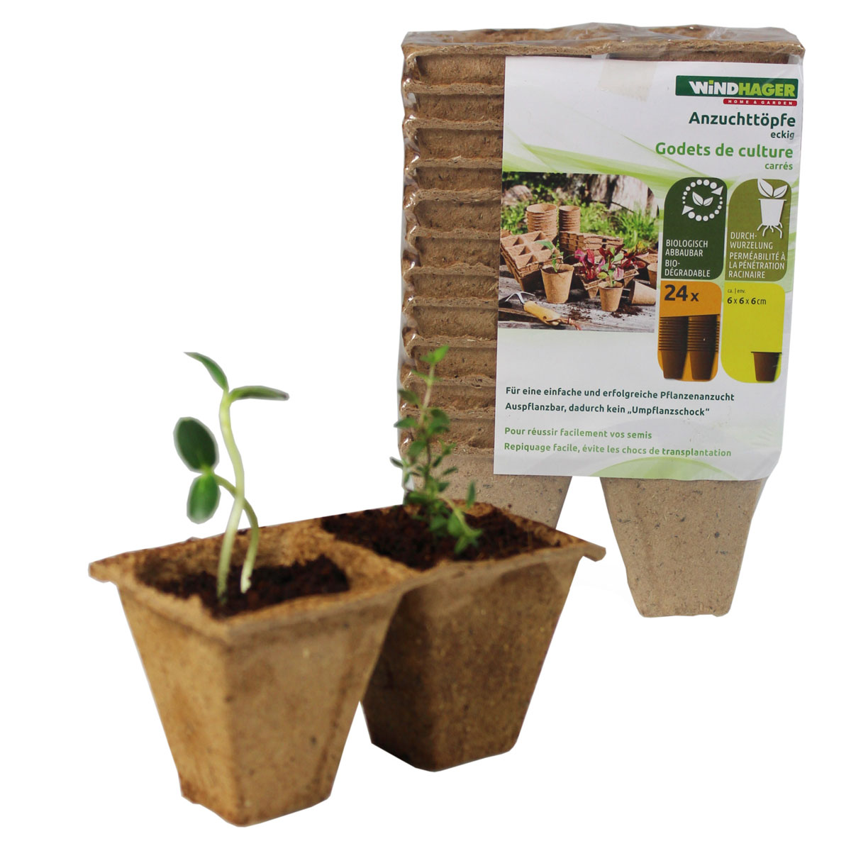 Windhager  Torf-Anzuchttöpfe 6 cm Bild 3