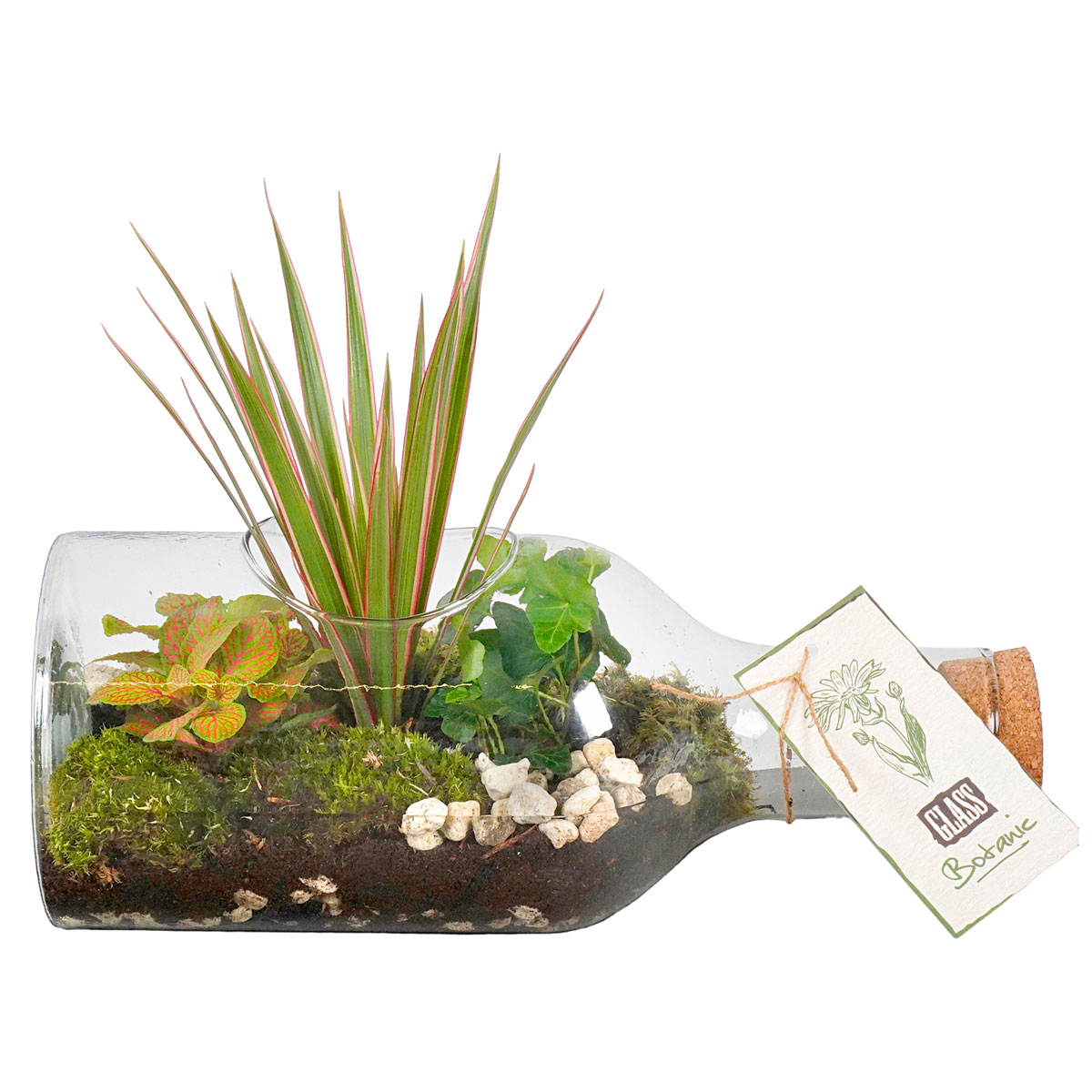 Plantiflor  Bepflanztes Glas liegend 26 x 13 cm