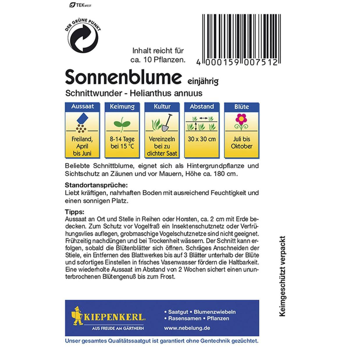 Kiepenkerl Sonnenblume Schnittwunder Bild 2