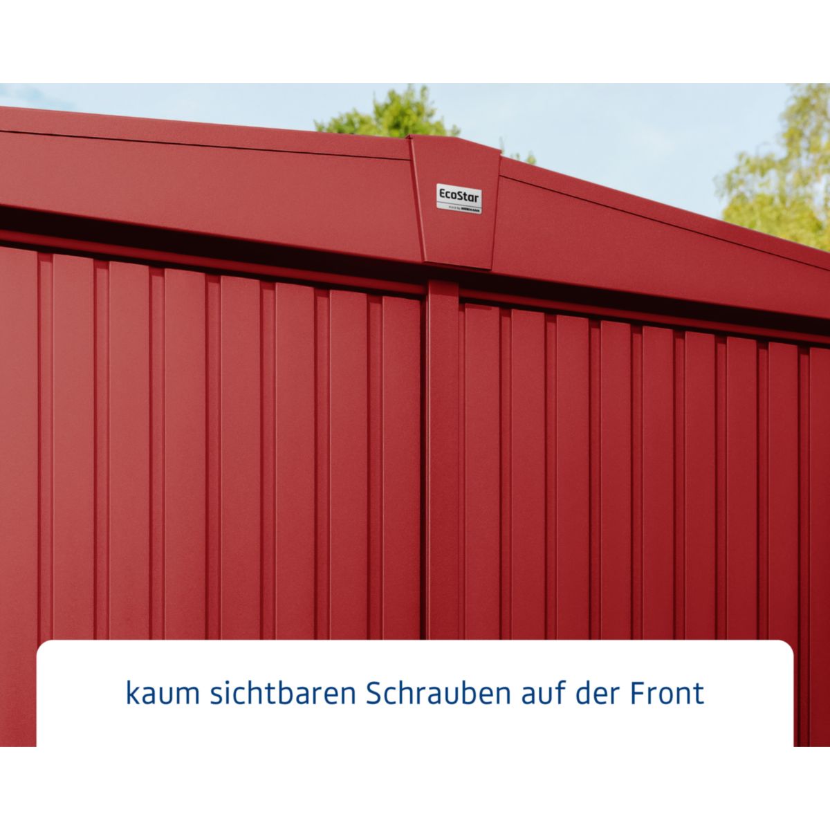 EcoStar  Gerätehaus Trend-STyp 1RAL3004 1 flg Bild 5