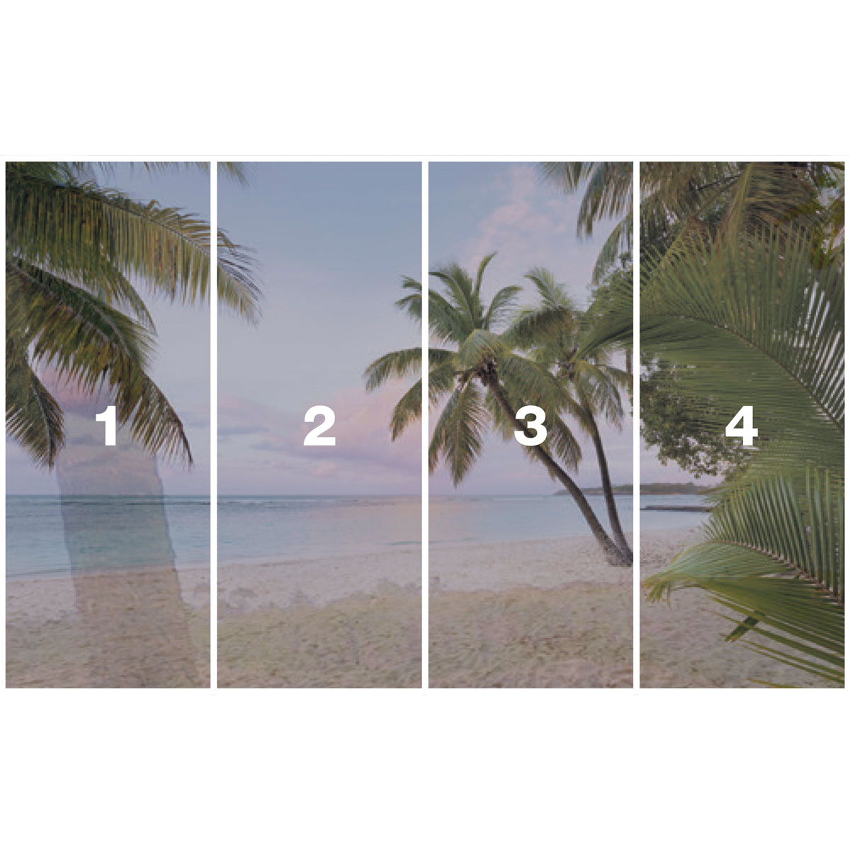 Komar  Vlies Fototapete Paradise Morning 400x250 cm Bild 3