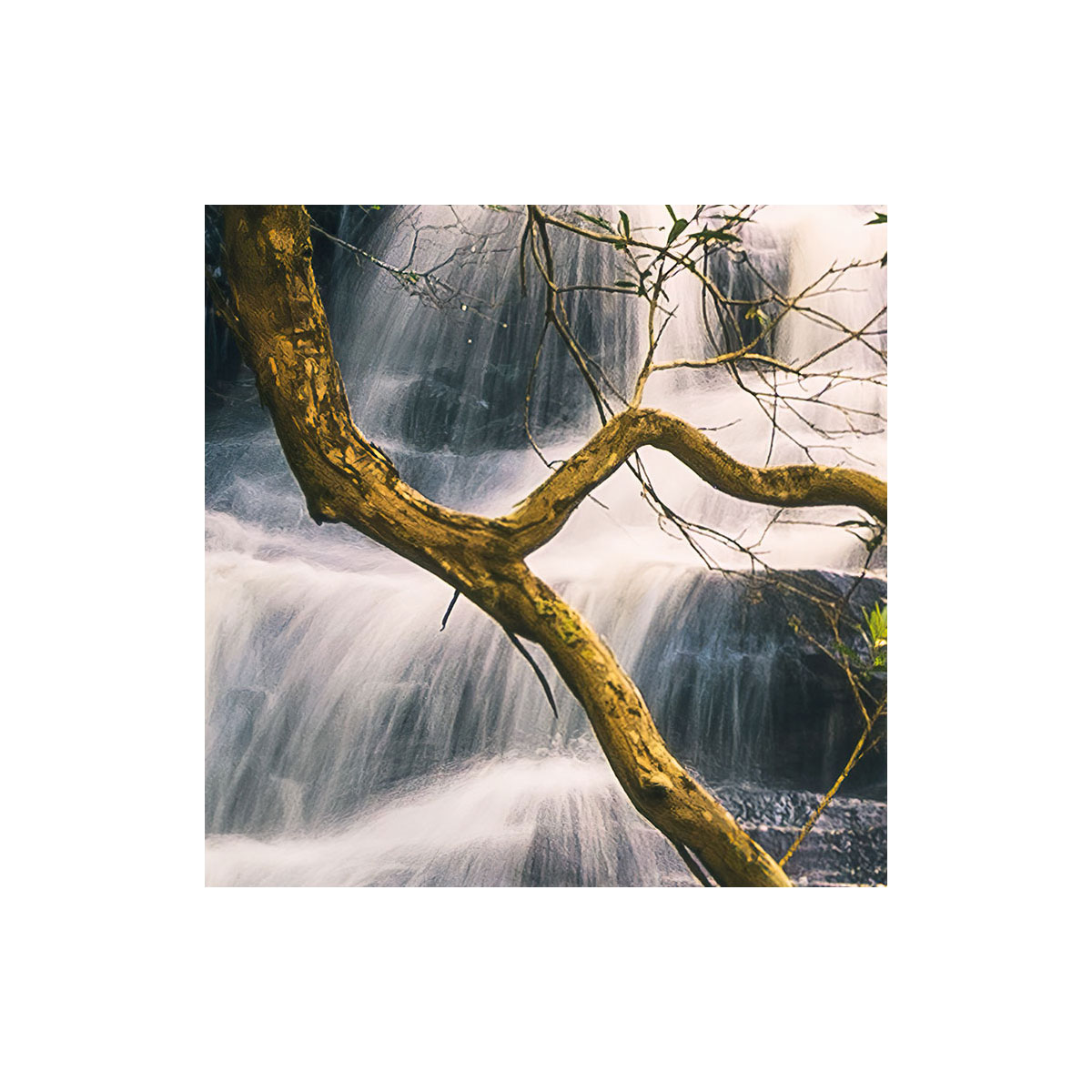 Komar  Vlies Fototapete Golden Falls 450x280 cm Bild 4