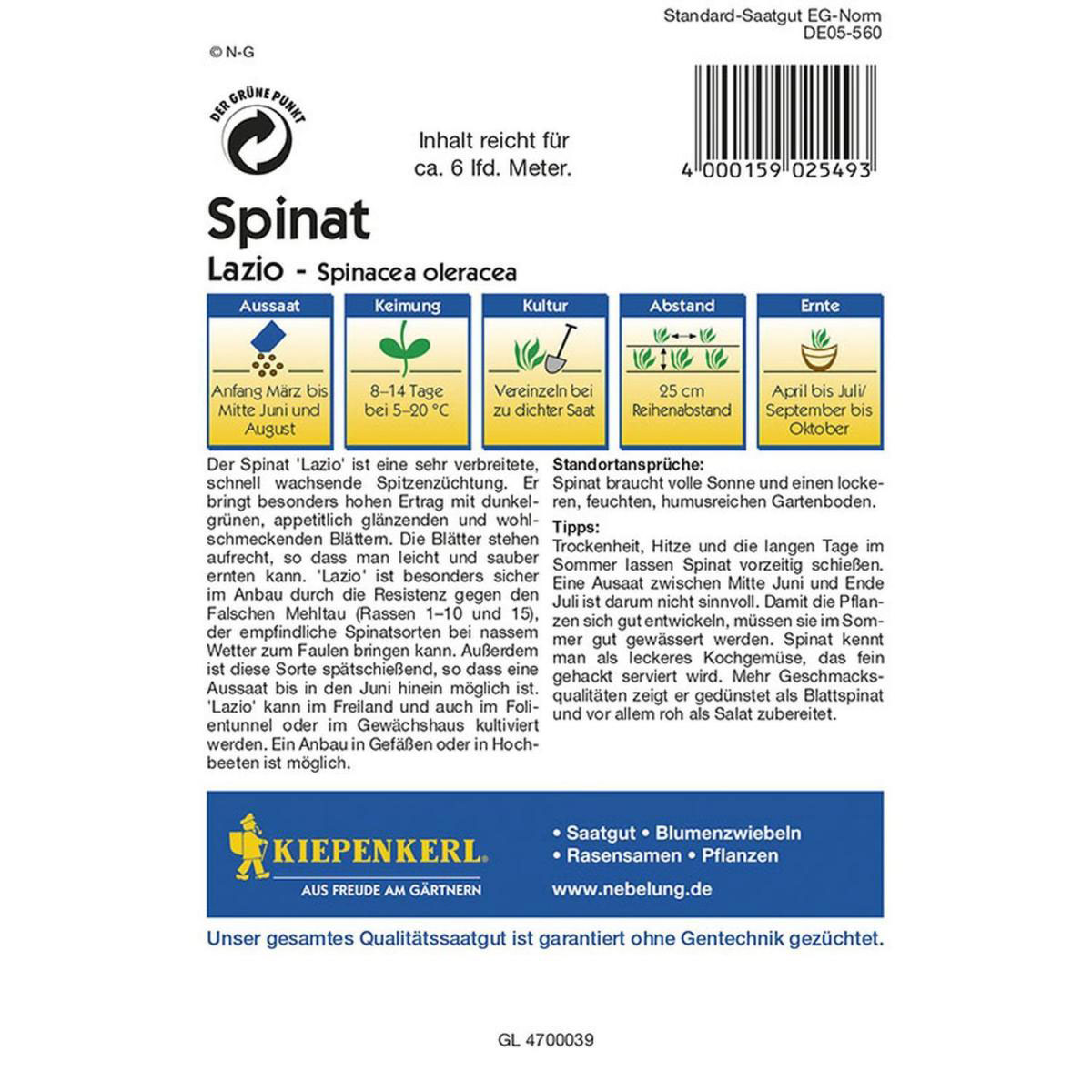 Kiepenkerl Spinat Lazio F1 Profi-Line Bild 2