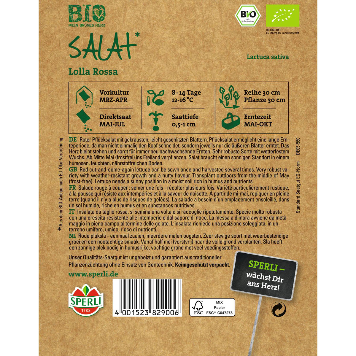 Bio-Pflücksalat rot Bild 2
